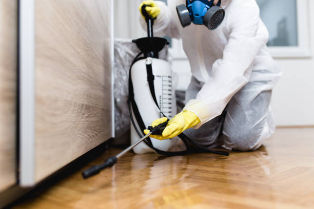 Pest Control for Restaurants in Heyburn, ID