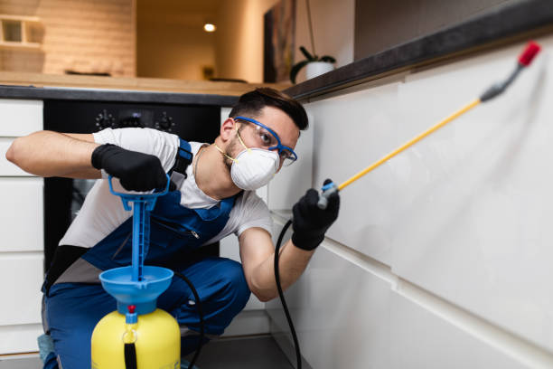 Best Affordable Pest Control Services  in Heyburn, ID