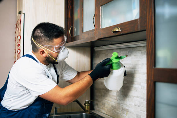 Best Insect Control  in Heyburn, ID