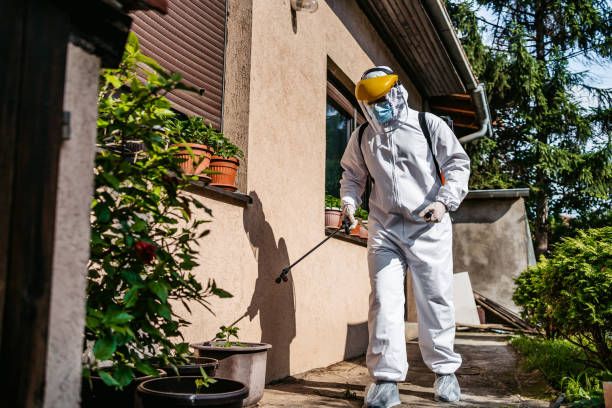 Best Pest Control Cost  in Heyburn, ID