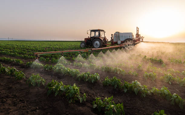Best Pest Prevention Services  in Heyburn, ID