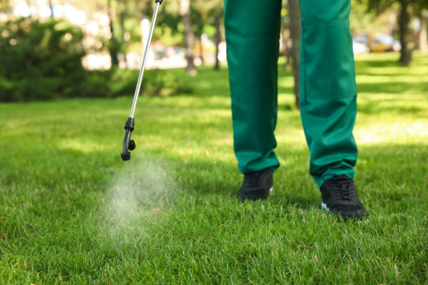 Best Termite Control Services  in Heyburn, ID