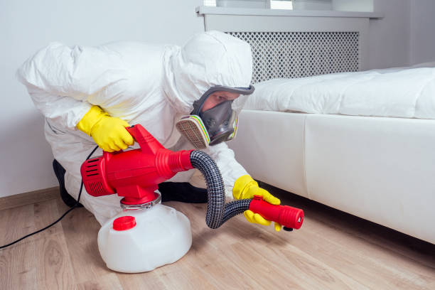 Professional Pest Control in Heyburn, ID