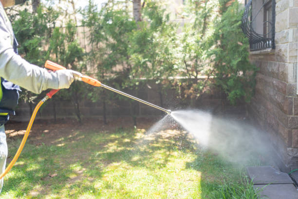 Best Pest Removal Services  in Heyburn, ID