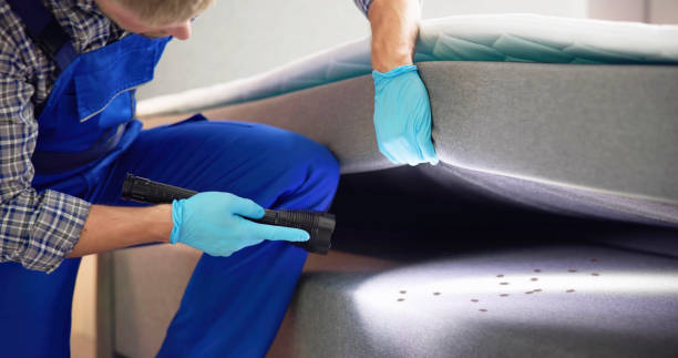 Pest Control Cost in Heyburn, ID