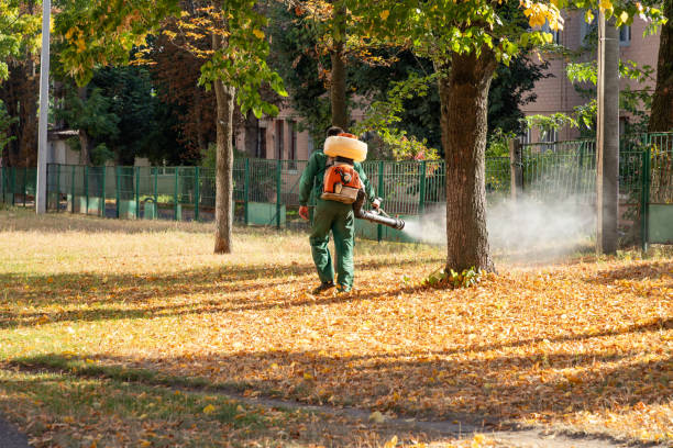 Best Emergency Pest Control  in Heyburn, ID