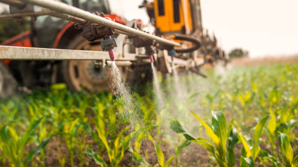 Insect Control in Heyburn, ID